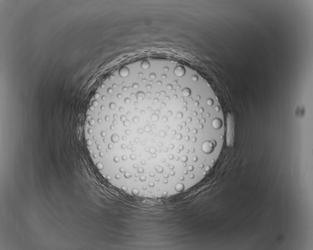 X0000114611491200912010925