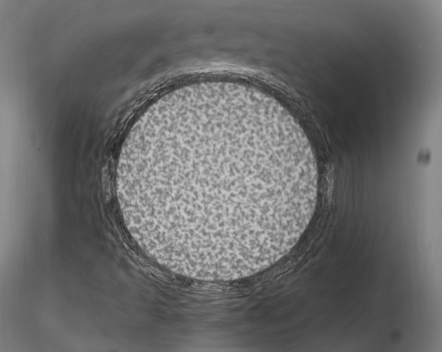 X0000114611493200912010925