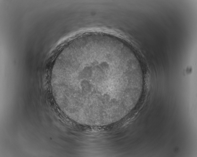 X0000114611494200912010925