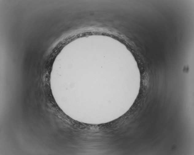 X0000114611495200912010925