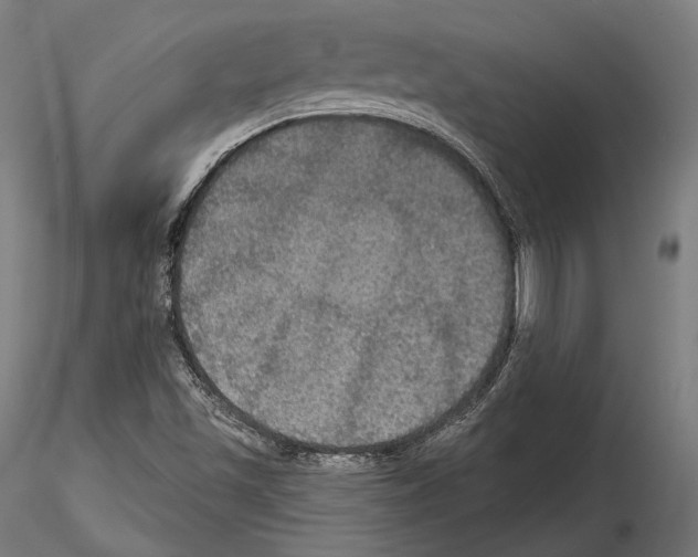 X0000114611501200912010925