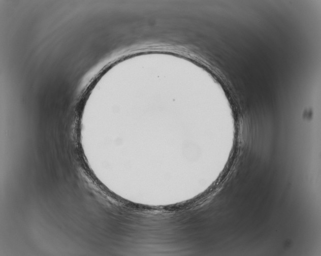 X0000114611502200912010925