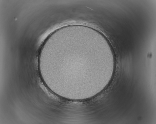 X0000114611503200912010925