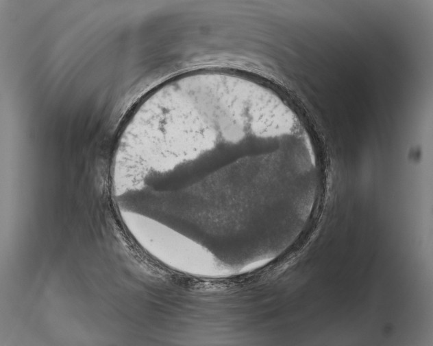 X0000114611505200912010925