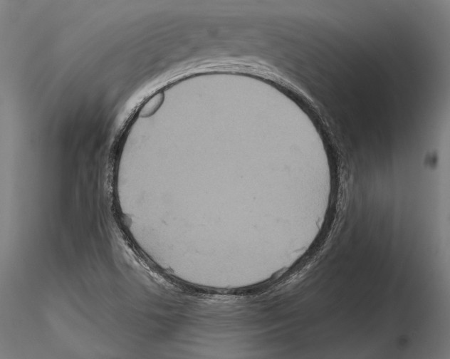 X0000114611506200912010925