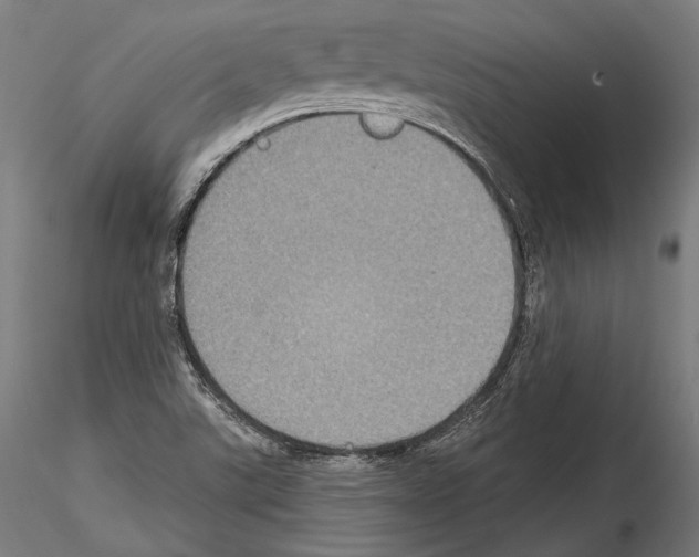 X0000114611507200912010925