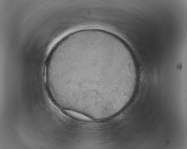 X0000114611510200912010925