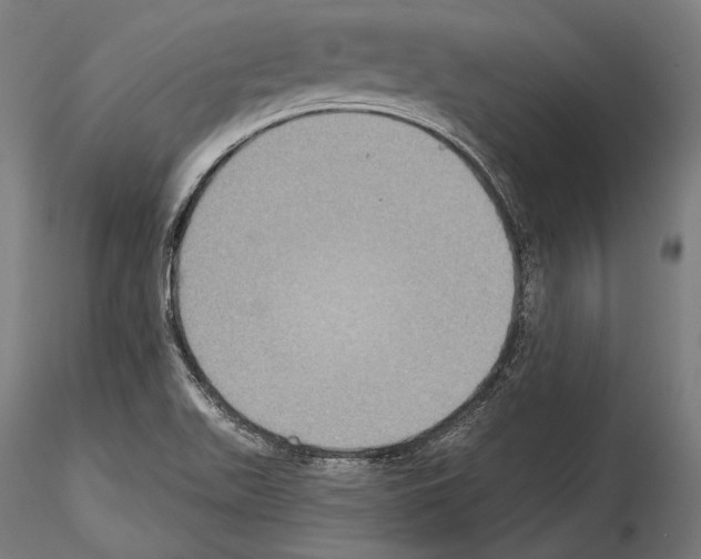 X0000114611511200912010925