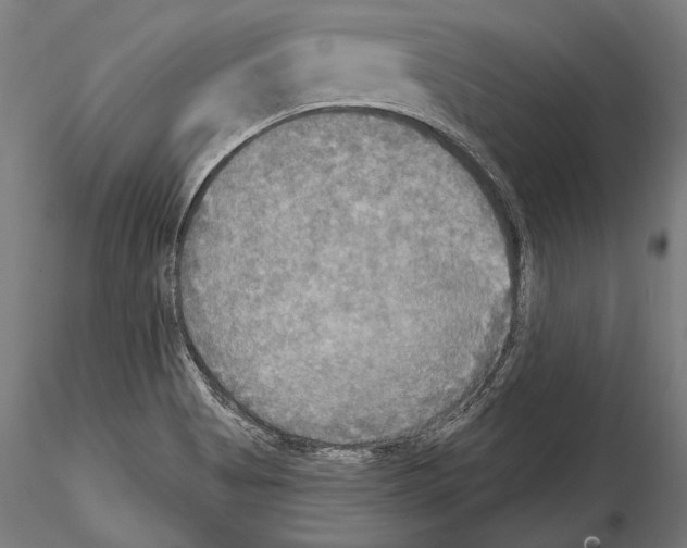 X0000114611513200912010925