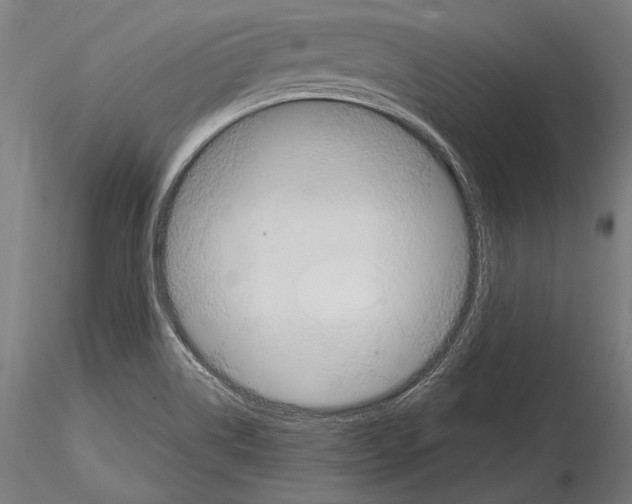 X0000114611514200912010925