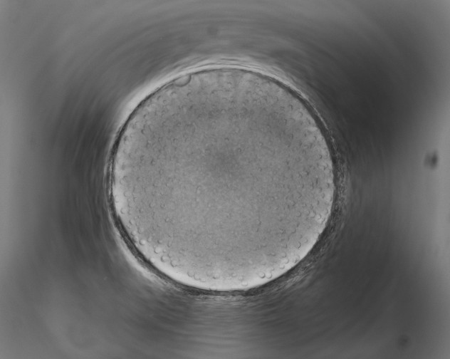 X0000114611519200912010925