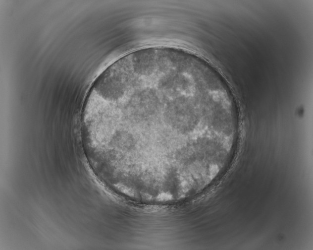 X0000114611521200912010925