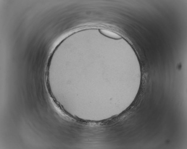 X0000114611523200912010925