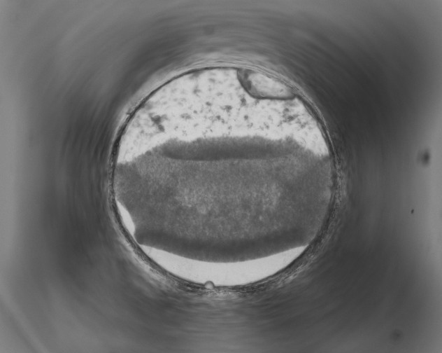 X0000114611525200912010925