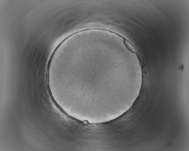 X0000114611527200912010925