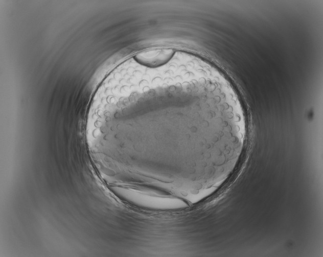 X0000114611529200912010925