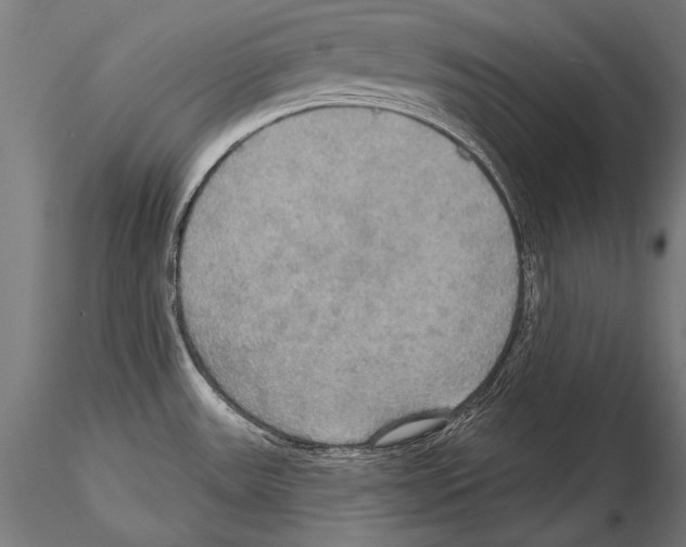 X0000114611531200912010925