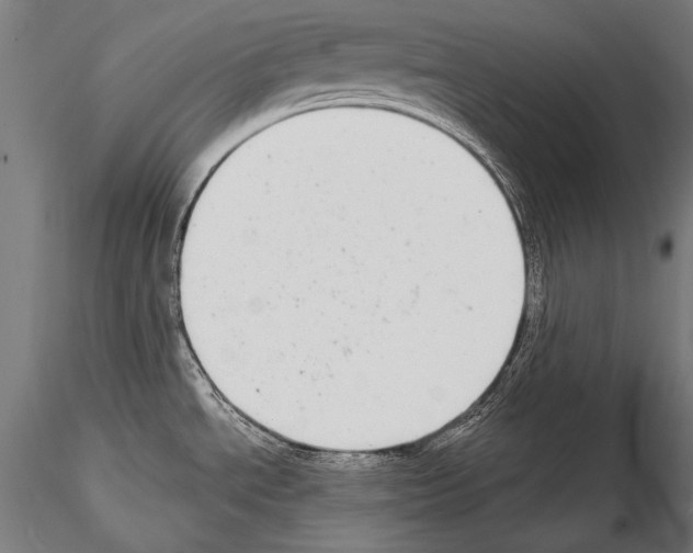 X0000114611534200912010925