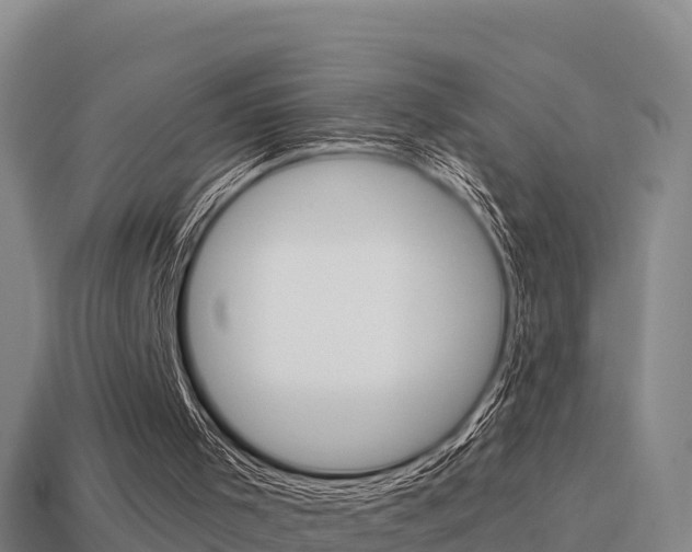 X0000114620001200910201011