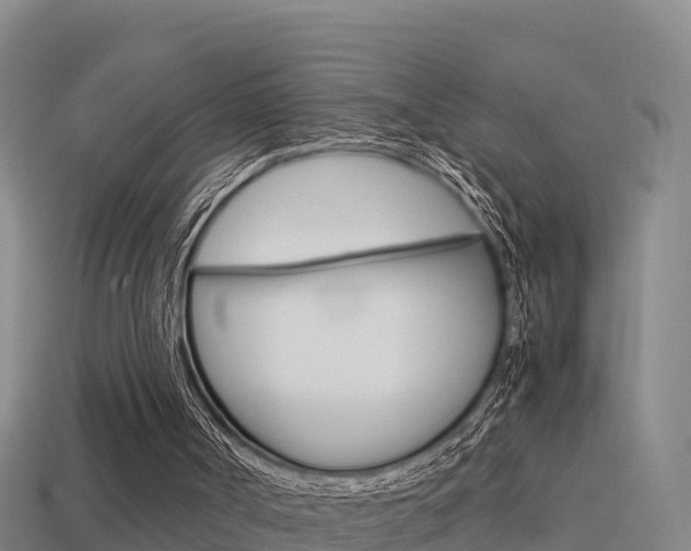 X0000114620002200910201011
