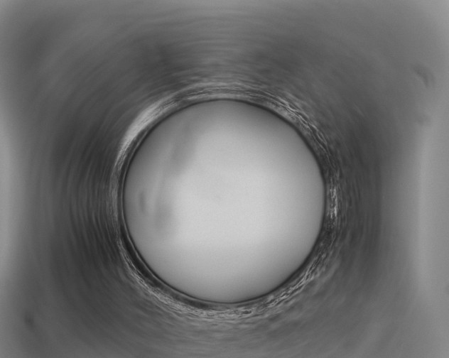 X0000114620004200910201011