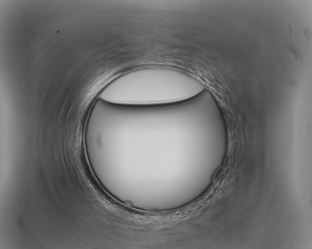 X0000114620005200910201011