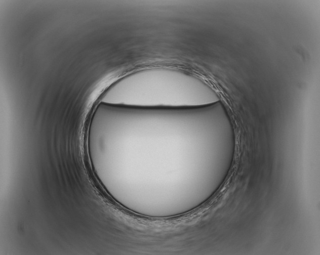 X0000114620006200910201011