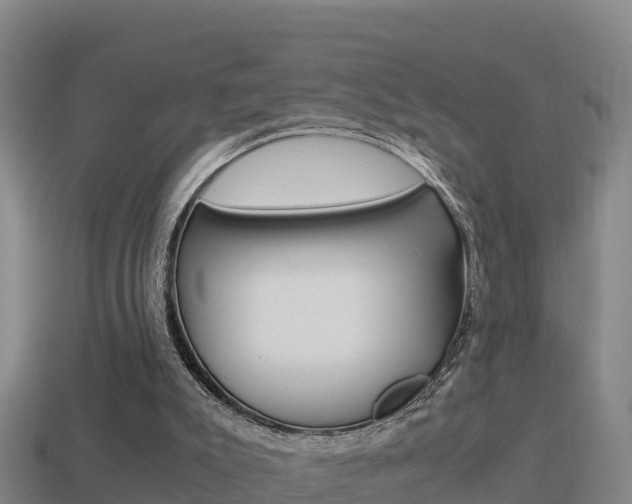 X0000114620007200910201011