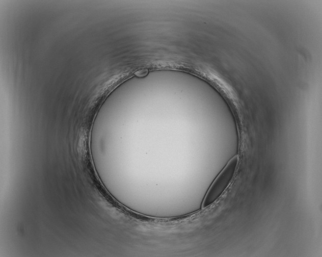 X0000114620009200910201011