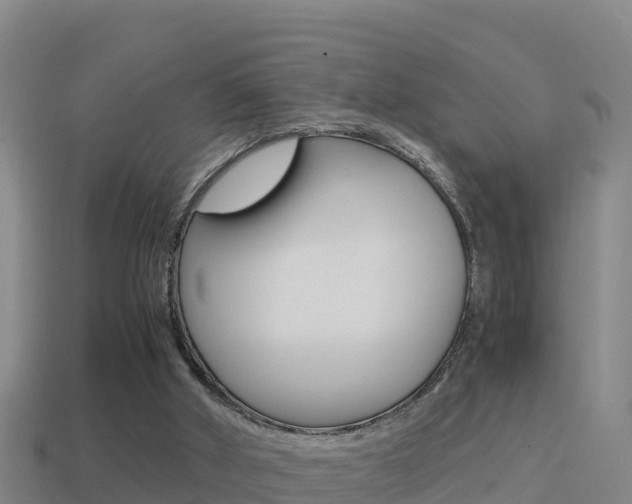 X0000114620010200910201011