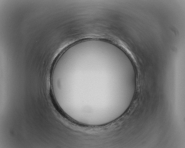 X0000114620011200910201011