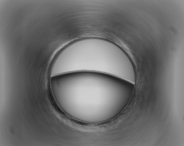 X0000114620012200910201011