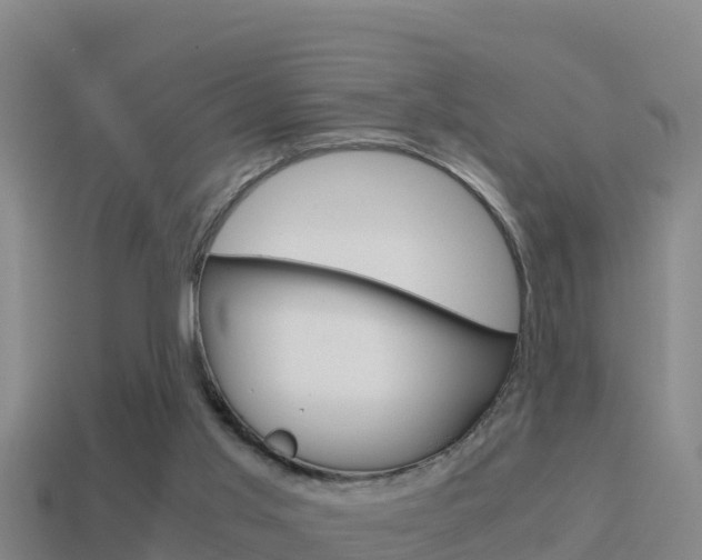 X0000114620013200910201011