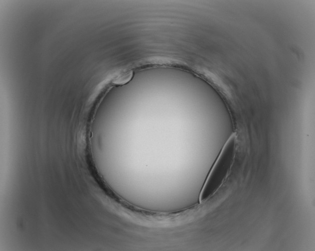 X0000114620015200910201011