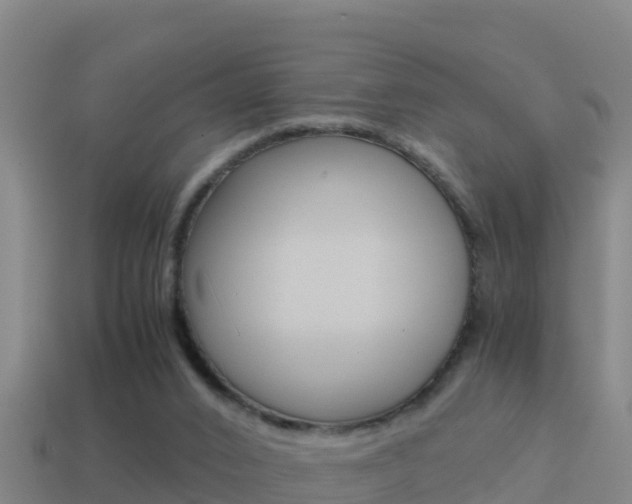 X0000114620016200910201011