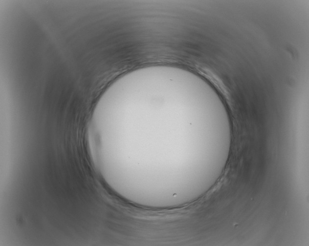 X0000114620017200910201011