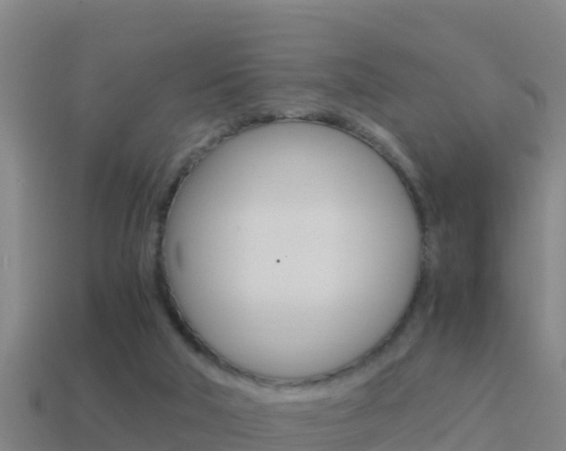 X0000114620018200910201011