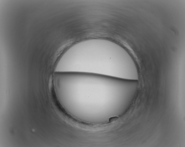 X0000114620019200910201011