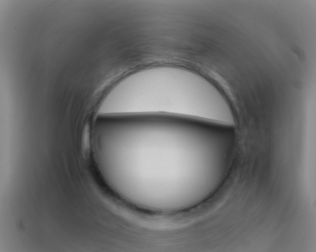 X0000114620020200910201011