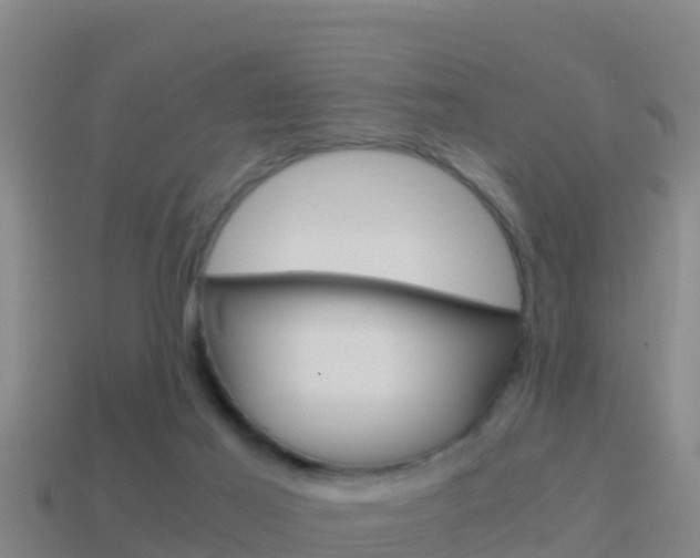 X0000114620021200910201011