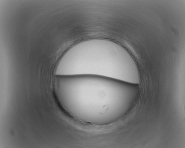 X0000114620023200910201011