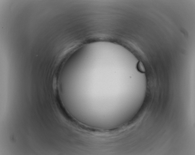 X0000114620024200910201011