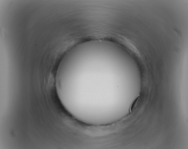 X0000114620025200910201011
