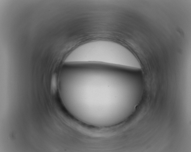 X0000114620028200910201011