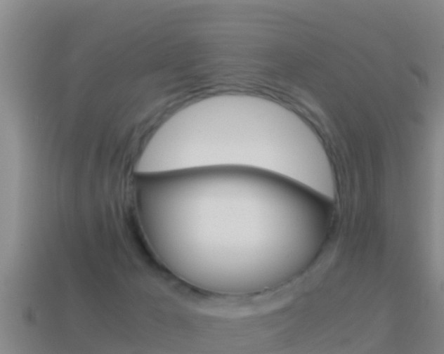 X0000114620029200910201011