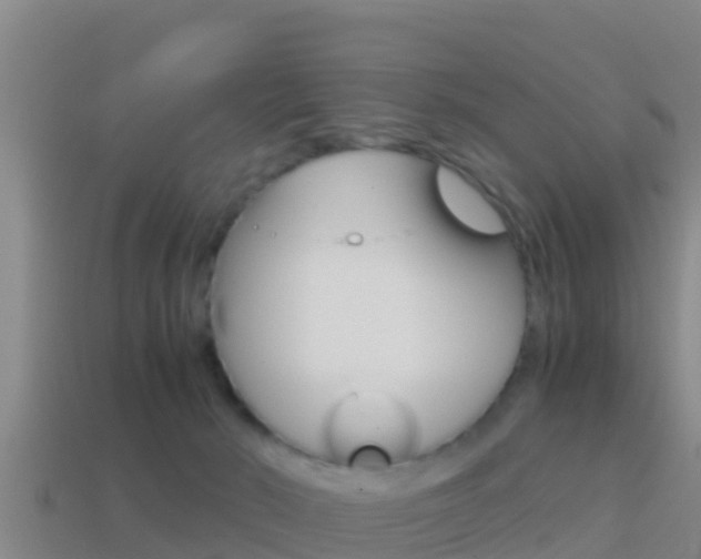 X0000114620030200910201011