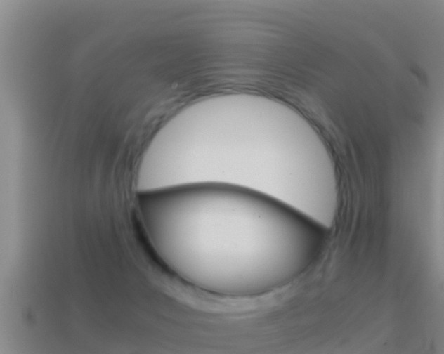 X0000114620031200910201011