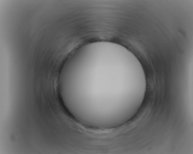 X0000114620032200910201011