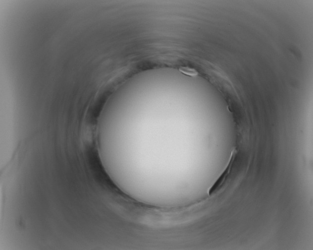 X0000114620033200910201011