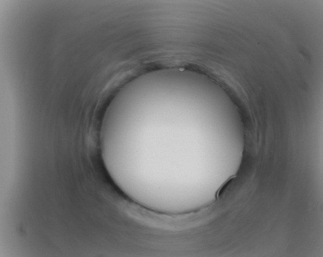 X0000114620035200910201011